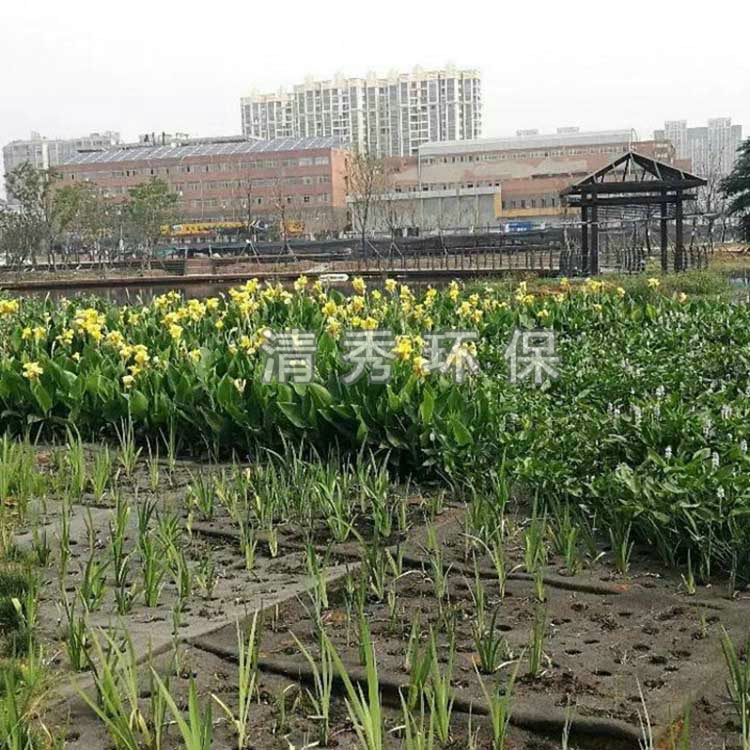 9浮動濕地組裝