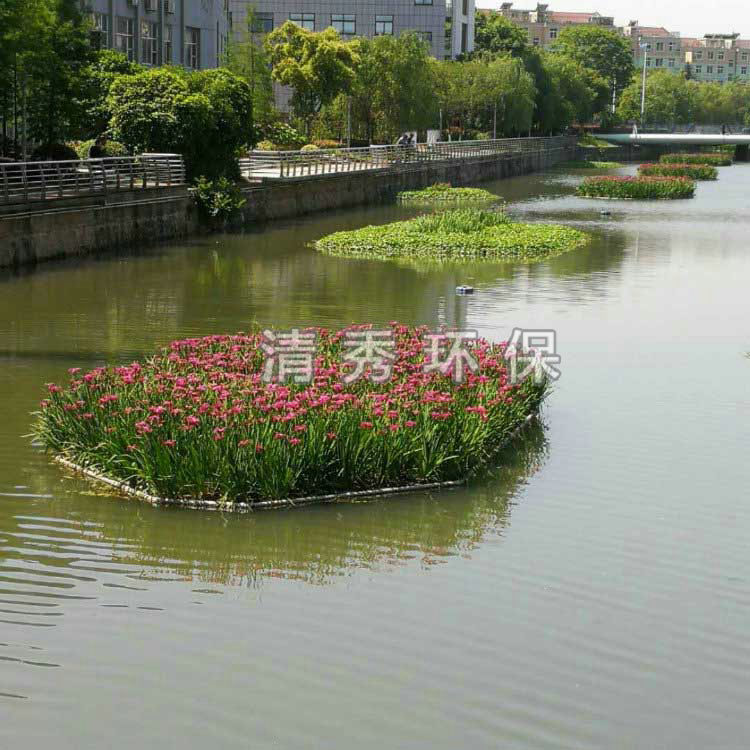 1常州陸家鎮(zhèn)浮島