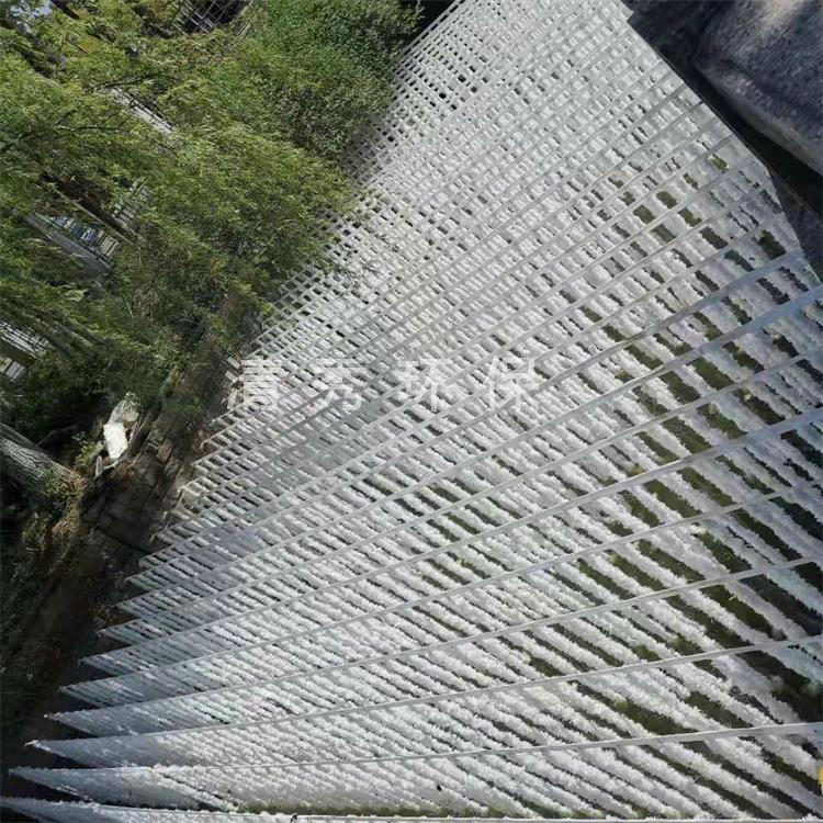 36江蘇海虞生態(tài)水草安裝