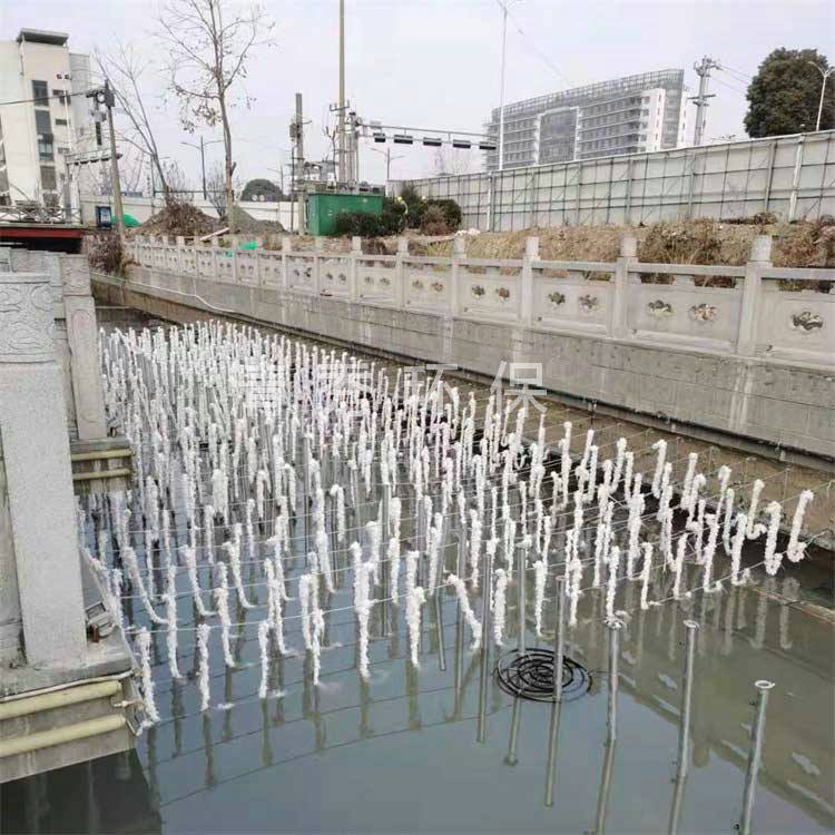 38江蘇高郵東門大溝